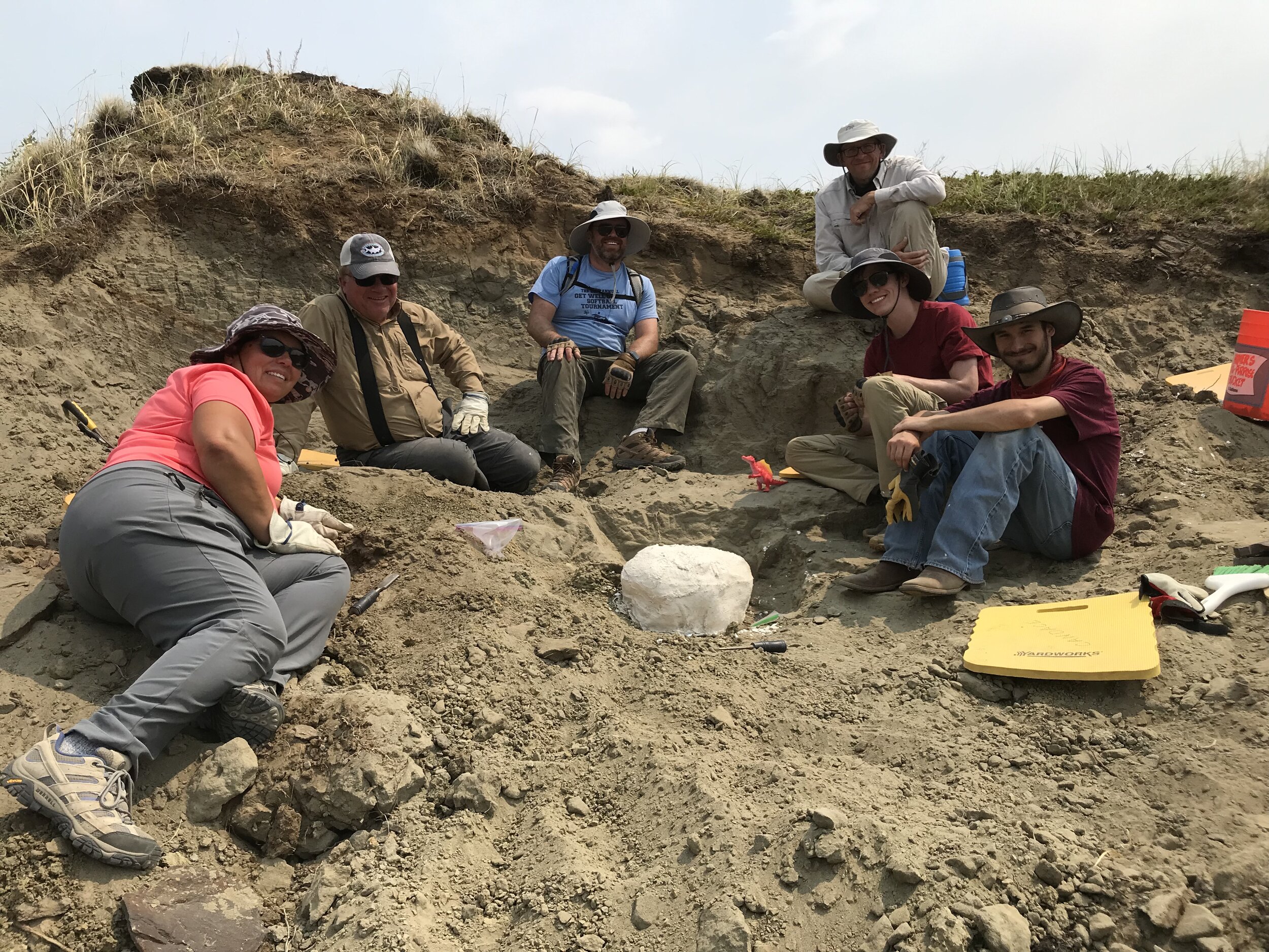 Digging up dinosaur bones, triceratops