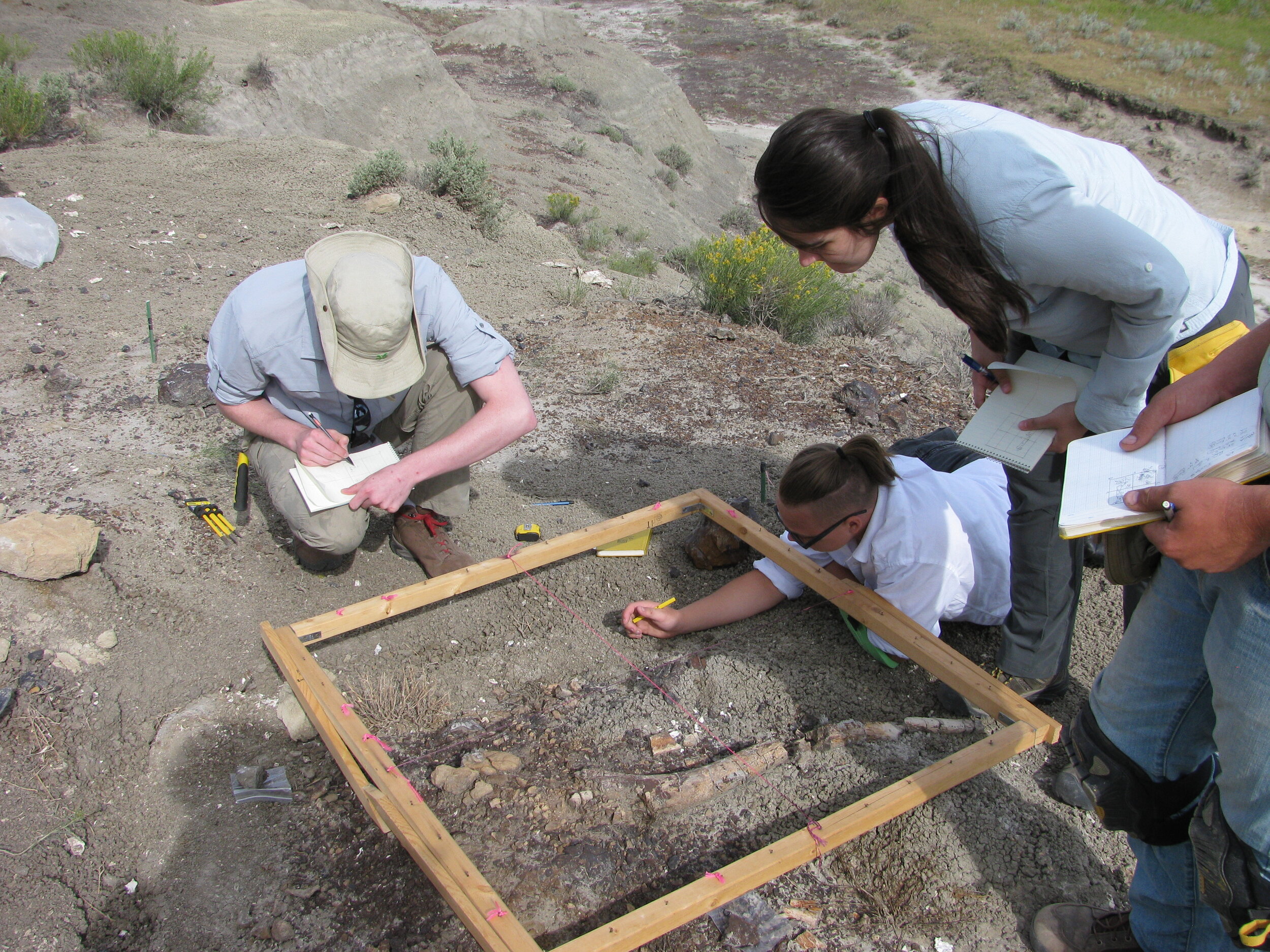 Student Study Dinosaur Fossils at Dig Site