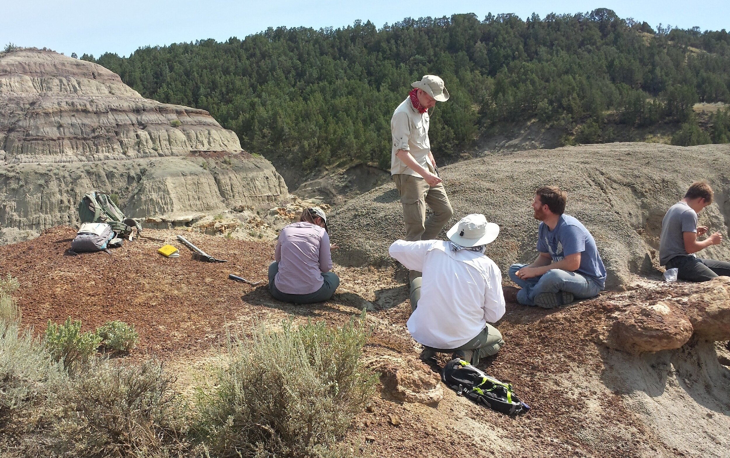 2015 Dinosaur Dig Season