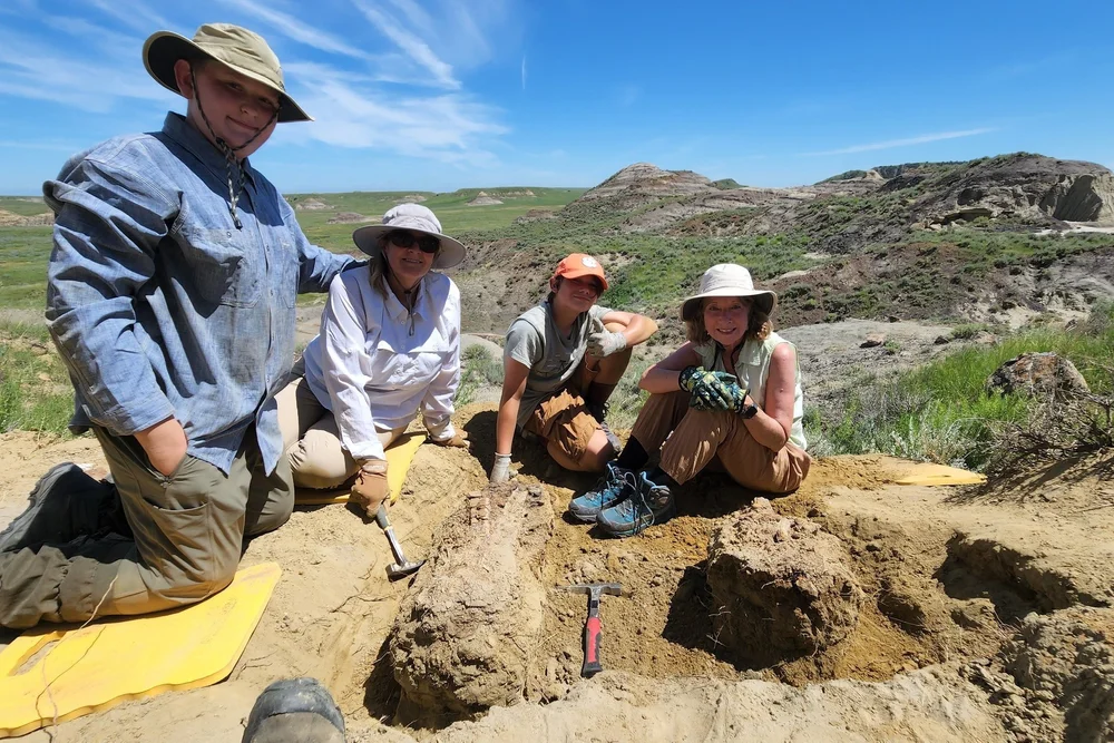 Public Dinosaur Digs — Hell Creek Fossils