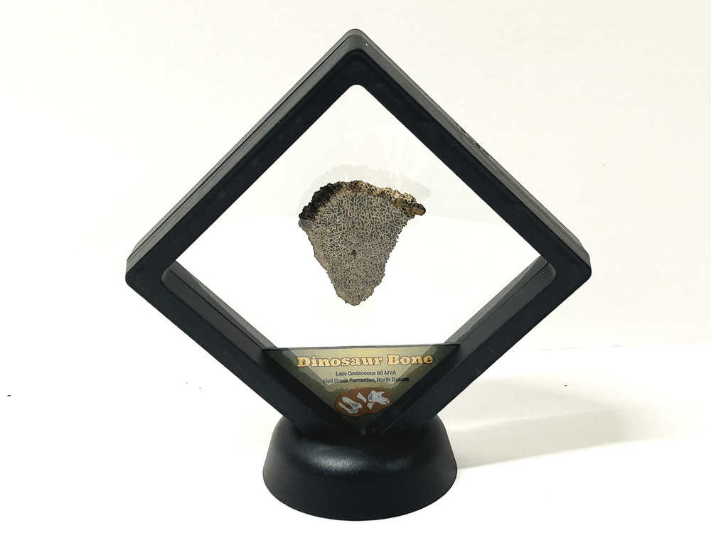 IMG_8022.png?format=1000w