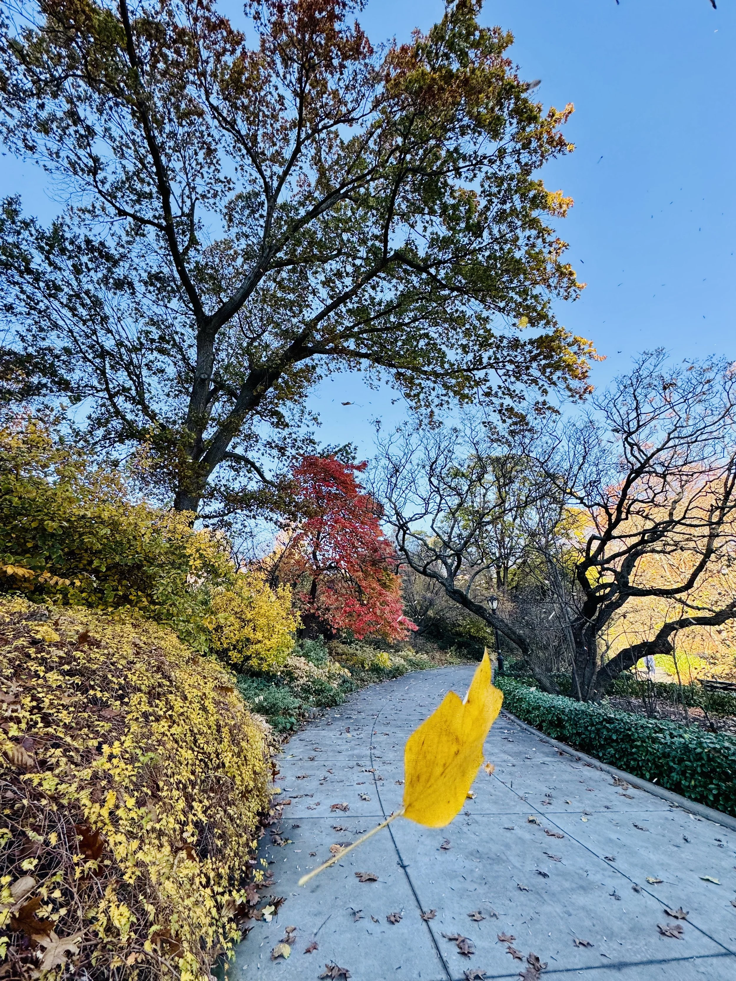 What I’m Learning: “Partir es siempre partirse en dos.”