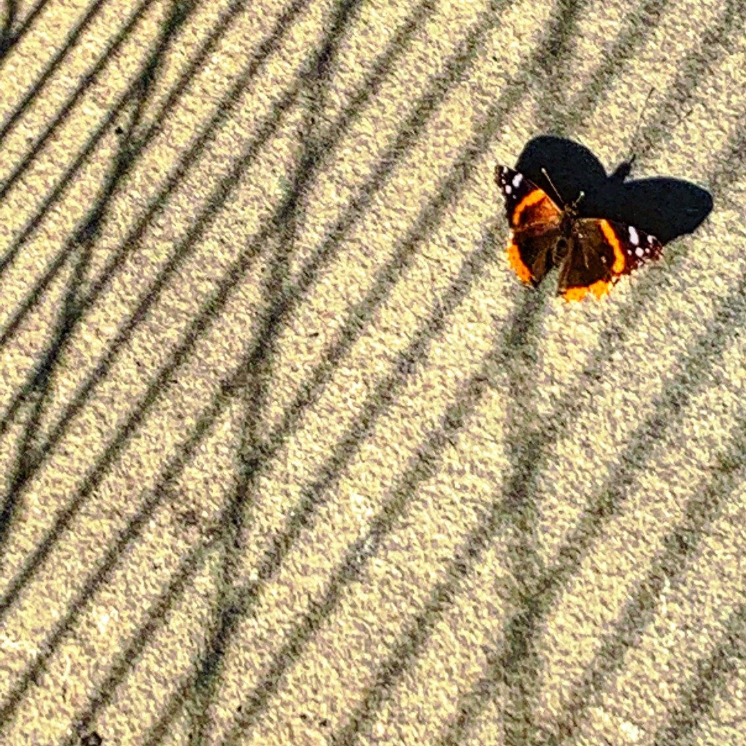 Freedom’s Re-Invention