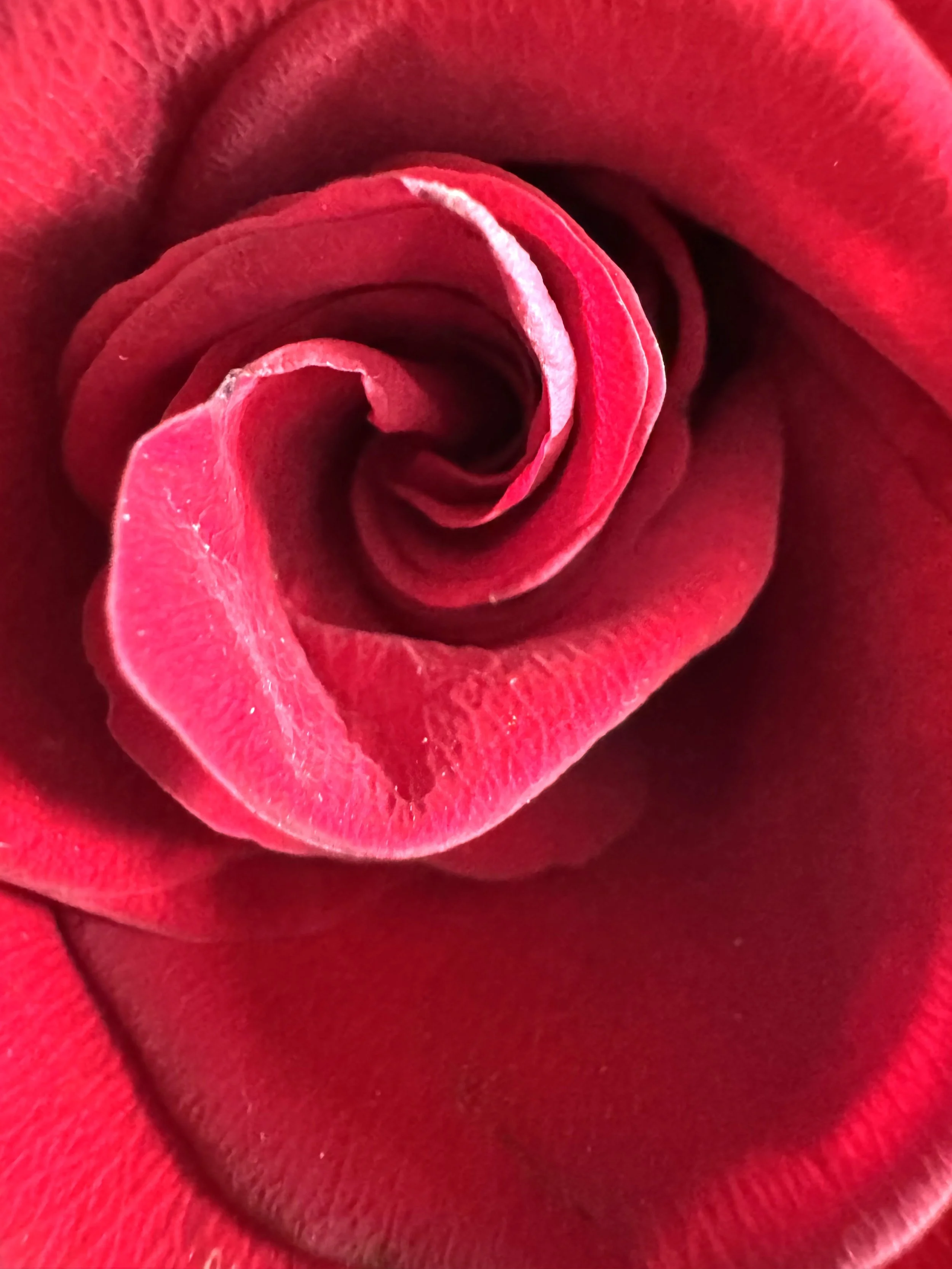 What I’m Learning: On “Becoming”
