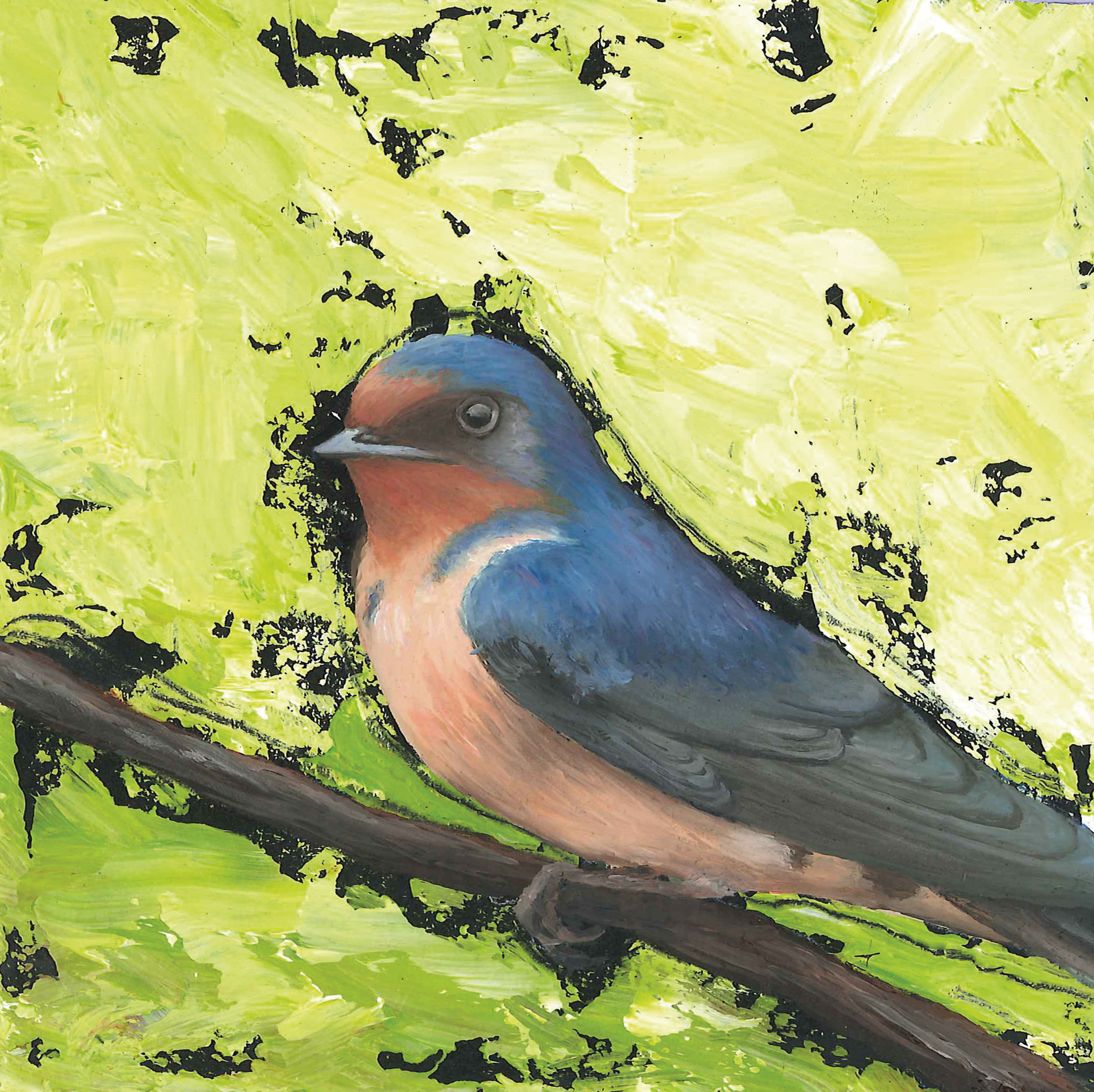 barn swallow.jpeg