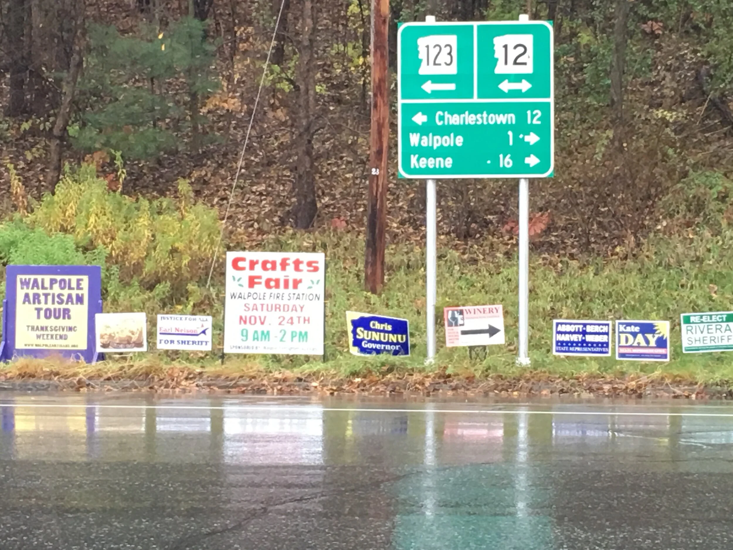 Row of campaign and art show road signs along New Hampshire road