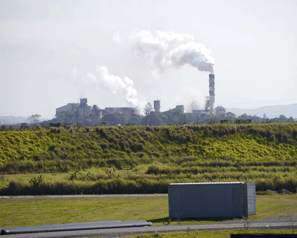 Sugar mill on the horizon - seen from the trail at the Botanic Gardens.
