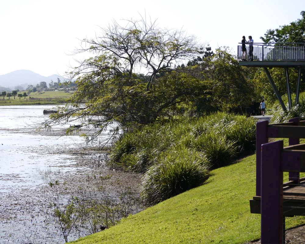 The trail passes through the Botanic Gardens, at the edge of the lagoons.
