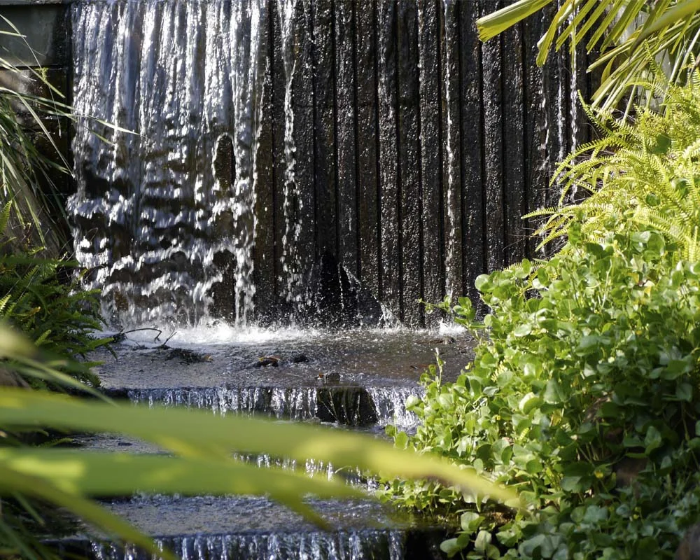Cascade at the Botanic Gardens.