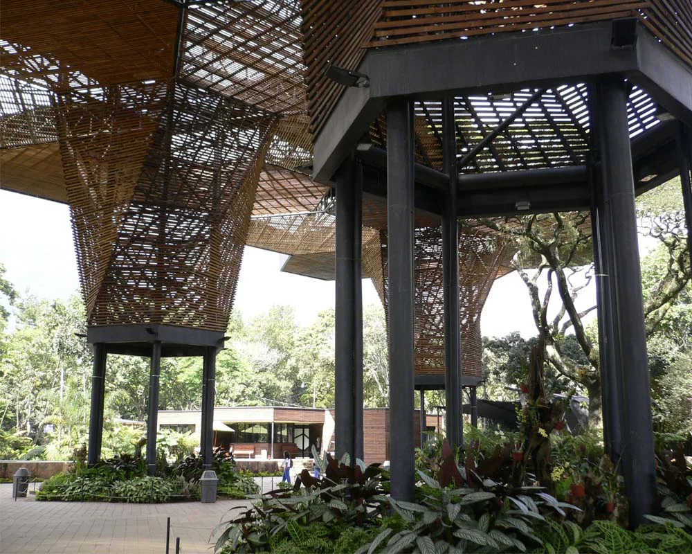 The Orchideorama, at the Medellin Botanic Gardens