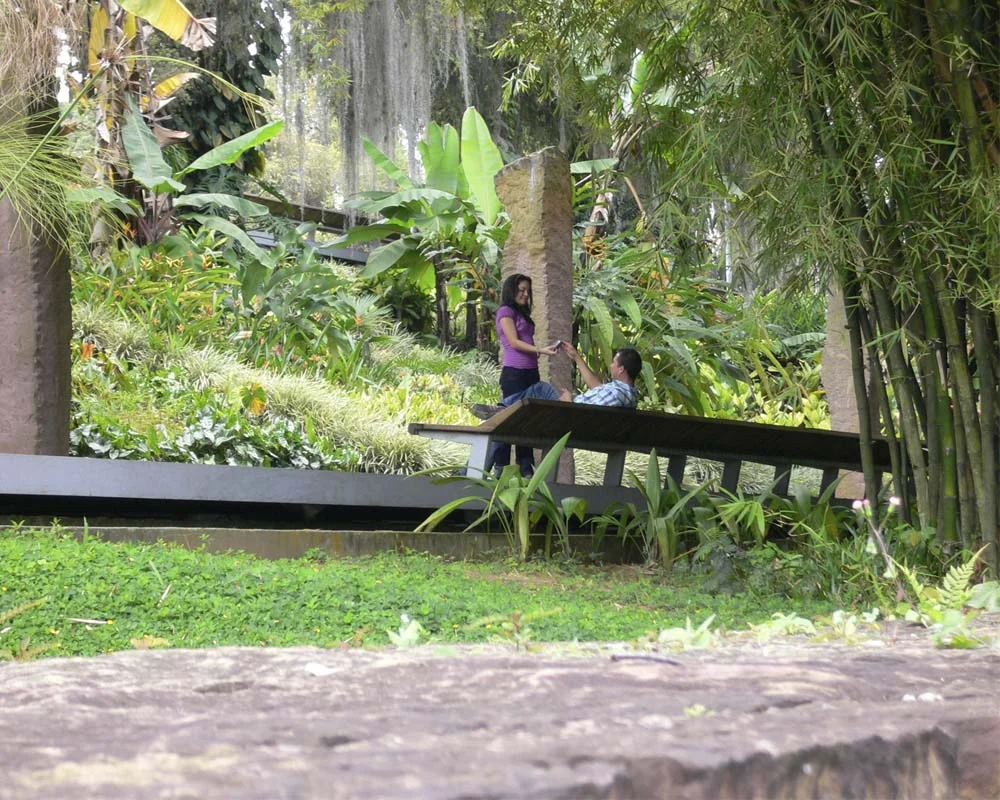 The park is lush, cool, and incredibly popular.