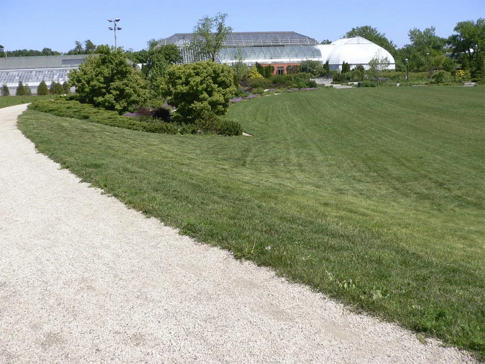The lawn tilts up into an encircling landform.