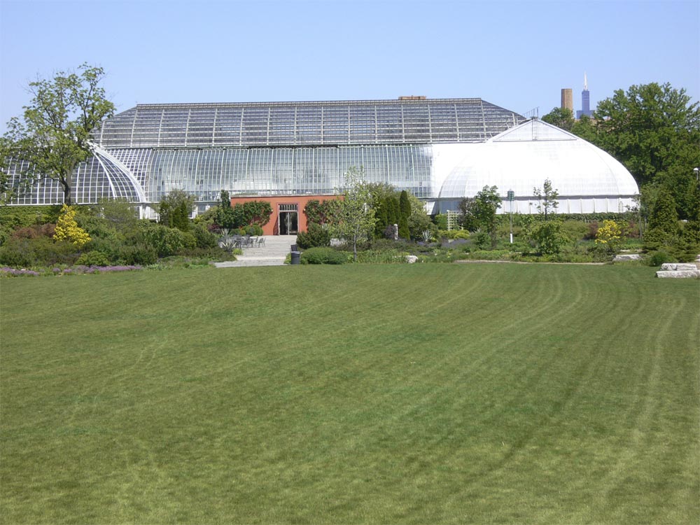 The 442 metre, 108 storey Willis Tower, (the artist formerly known as the Sears Tower) can be seen above the Palm House.