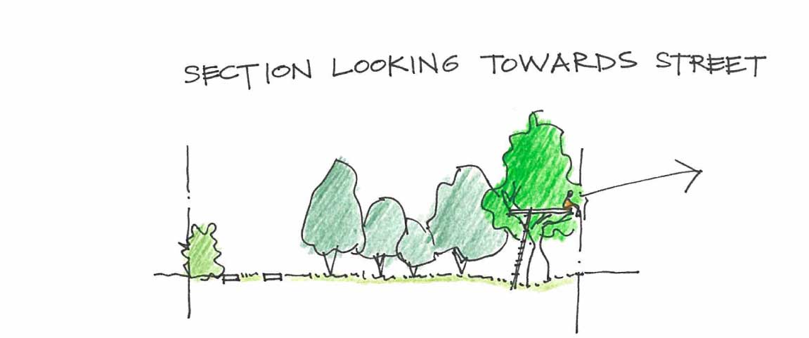 As the tree grows in this location I could build a platform in the branches and see across to the lake over the road.