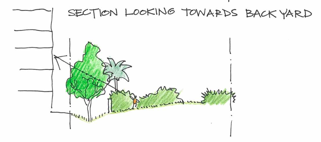 A tree here would help screen the back of the development proposed for next door, and would provide an element that’s closer in scale as the new multistory building.