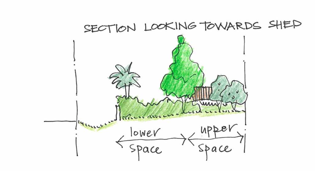 The tree would act as turning point or fulcrum between these two sections of the garden, allowing them to read as their own particular places. This tree would also start to screen the shed, so it would be less visible from inside the house.