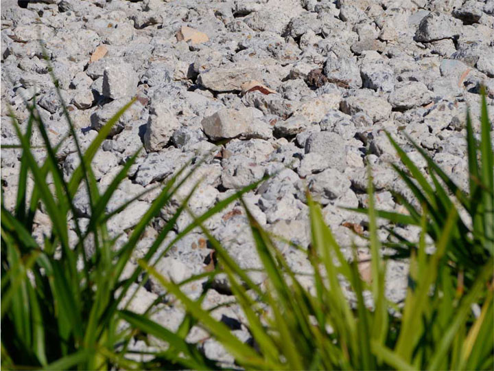 Raw, robust, recycled concrete used as mulch. Mmmm.