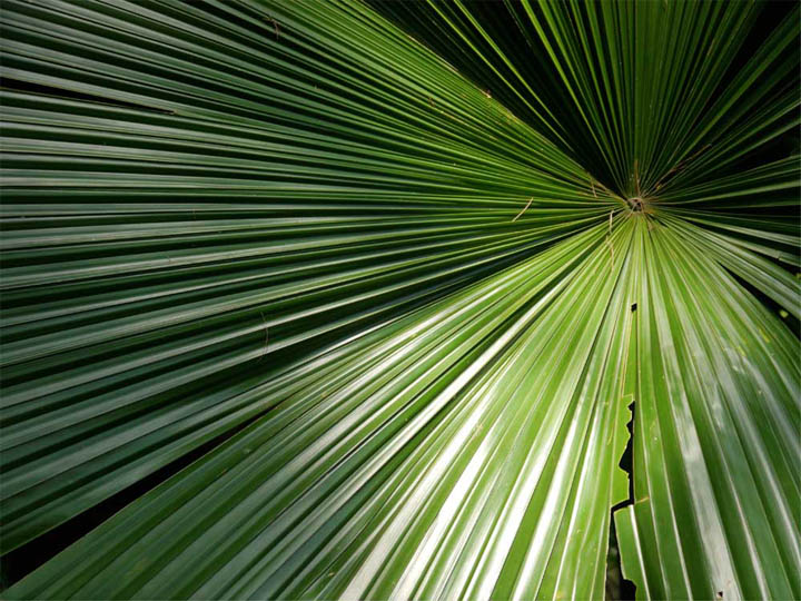 Radiating, pleating, folding...