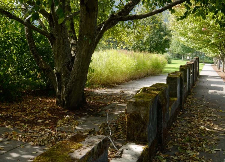 Approaching the Centre, remnants of former structures remain visible.