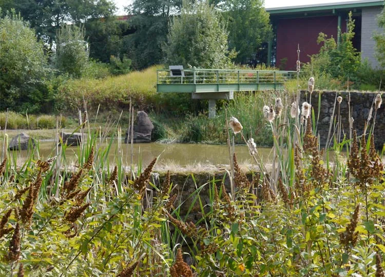 The lookout viewed across the pond...