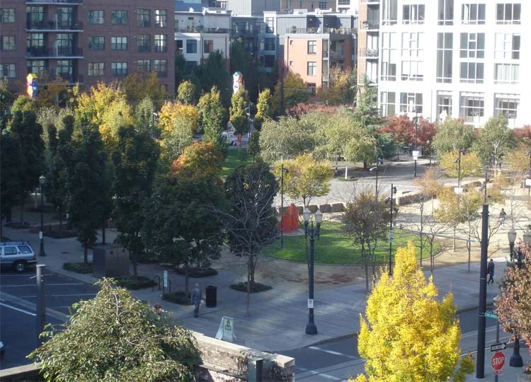 Looking into the Square from above. The boardwalk is in the foreground. Look for the row of stone blocks snaking through the middle of the park. Image: Flickr User pondskipper via Wikimedia Commons.