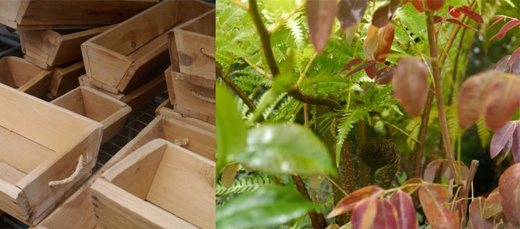 Garden accessories include these little timber herb planters and a range of pots. 