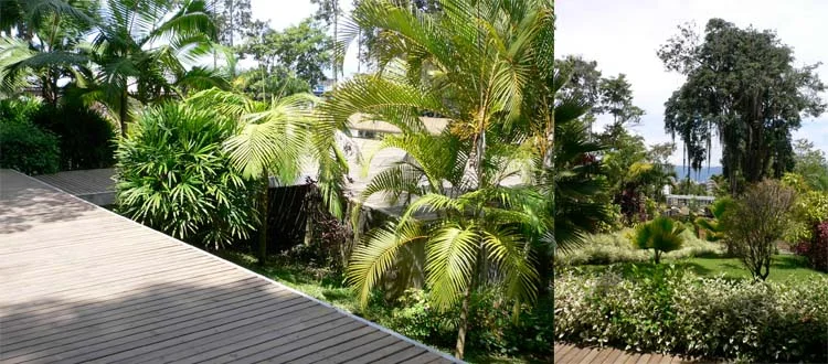 Existing mature trees on the site were incorporated into the planting design.