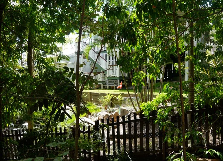 Brisbane's luckiest neighbours look onto the Arboretum from their house and garden.