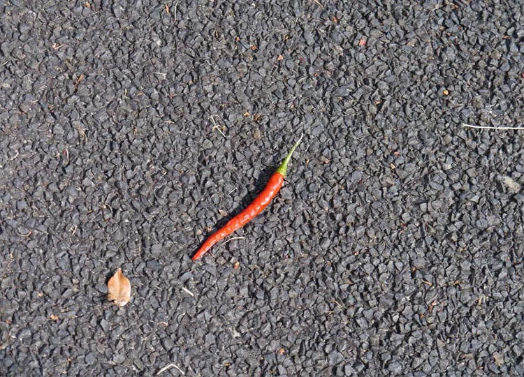 Could this be the hottest street in town?