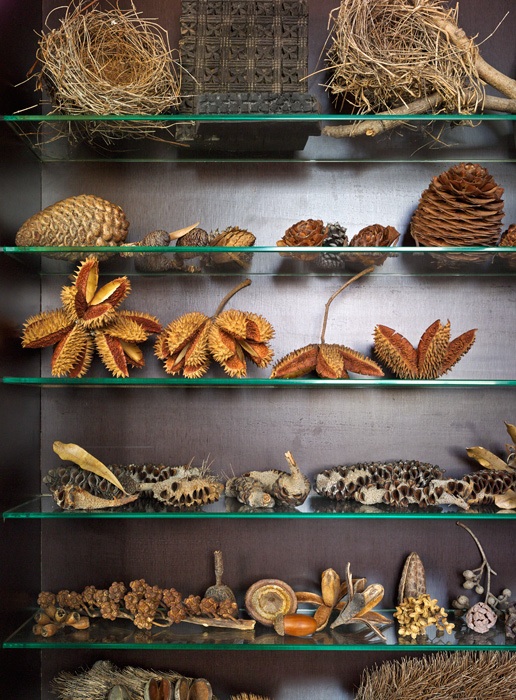 The Landscapology collections have a new home.