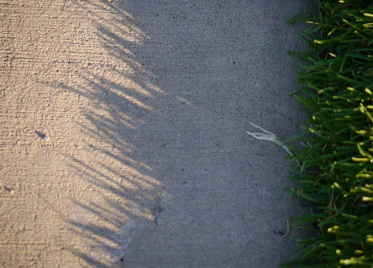Panels of artificial turf create hard-wearing yet inviting lounging spots beside the promenade.