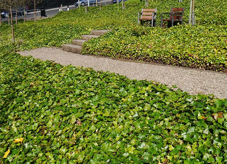 It's also great to see movable furniture, allowing visitors to chase sun or solitude as they wish.