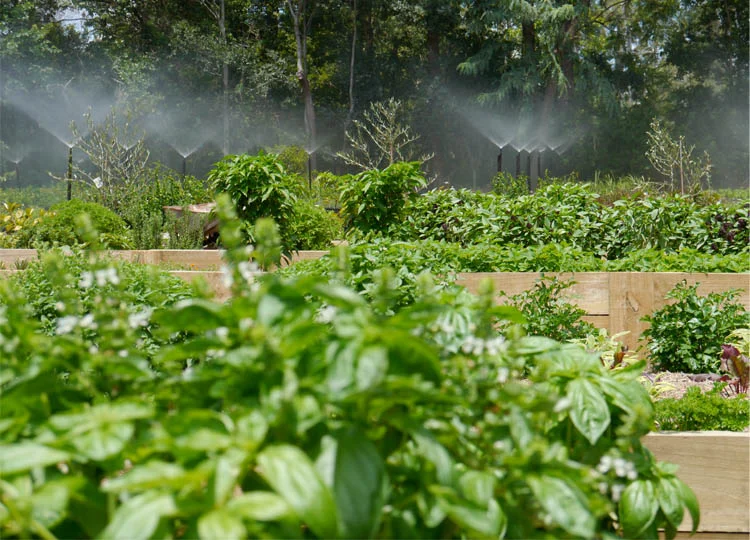 15. The Kitchen Garden at Brookfield's Wild Canary Cafe