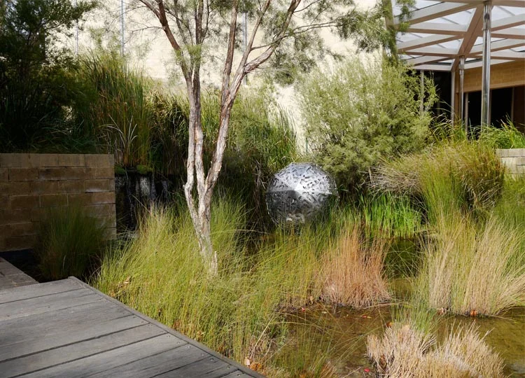16. Swinging with the Sedges: Perth's Urban Wetland