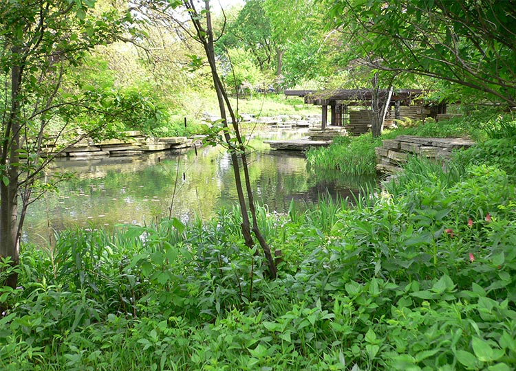 28. Chicago's Alfred Caldwell Lily Pool