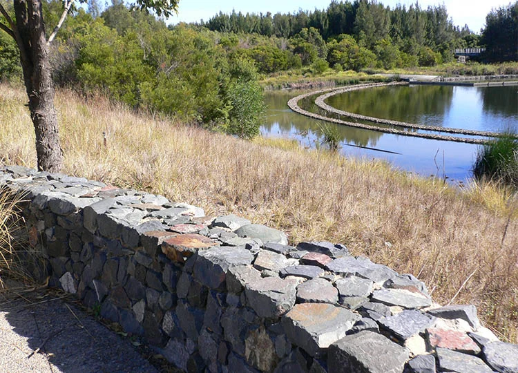 34. The Many Circles of Sydney Olympic Park