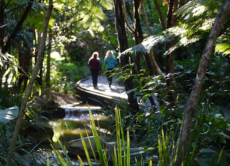 40. 10 Delights of Roma Street Parkland