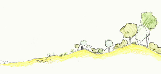 Landscapology_Dune5.jpg