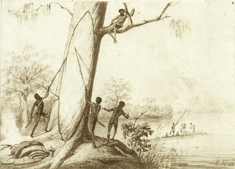 Image: William Blandowski's  Illustrated Encyclopaedia of Aboriginal Australia , published 1857. Wikimedia Commons.