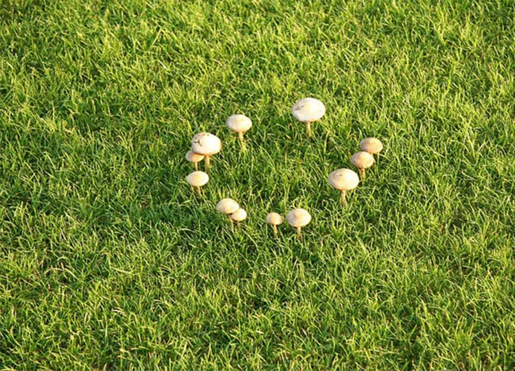 Image: Richard Croft, under CC Licence via Wikimedia Commons.