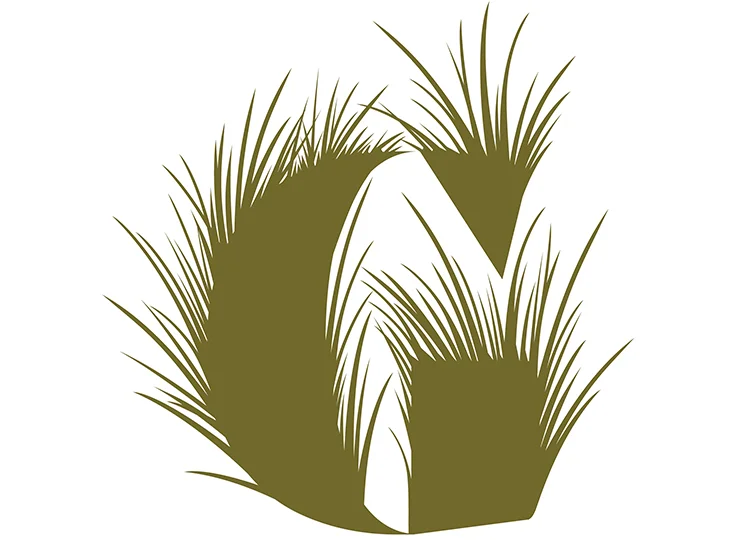 Typographic design by Nicole Phillips