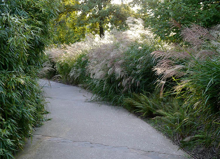 Musee du Quai Branly, Paris