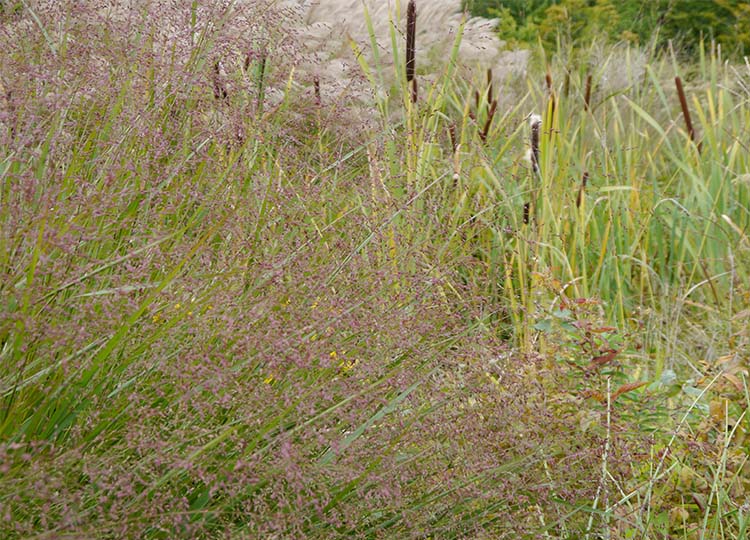 Chaumont Garden Festival