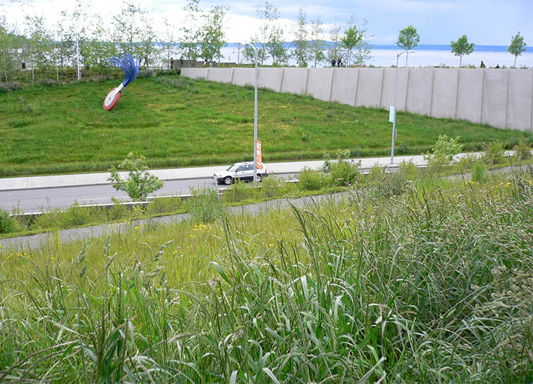 Olympic Sculpture Park, Seattle