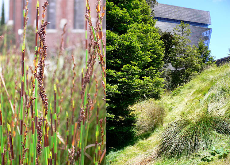 Jessie Square & De Young Museum, San Francisco