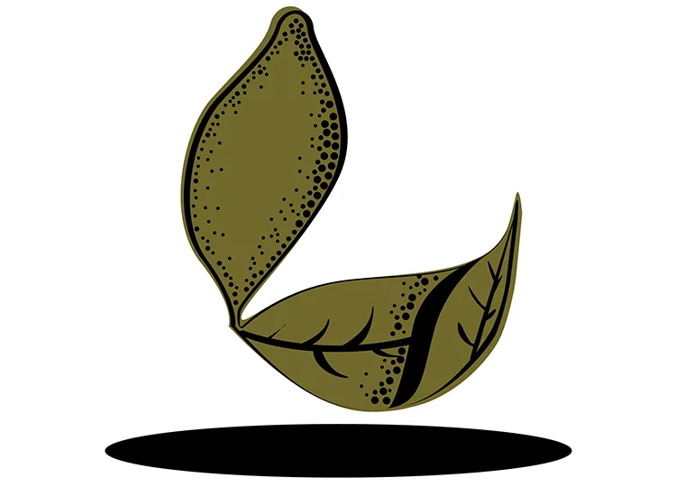 Typographic design by Nicole Phillips