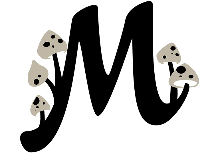 Typographic design by Nicole Phillips