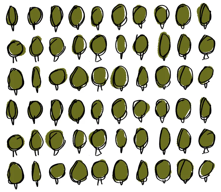 over 600: each tree = 10 plants.