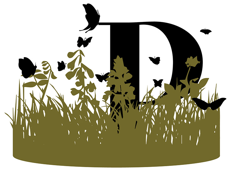 Typographic design by Nicole Phillips.