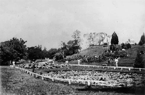 Curator's Cottage on the hill overlooking the lily pond, 1868.